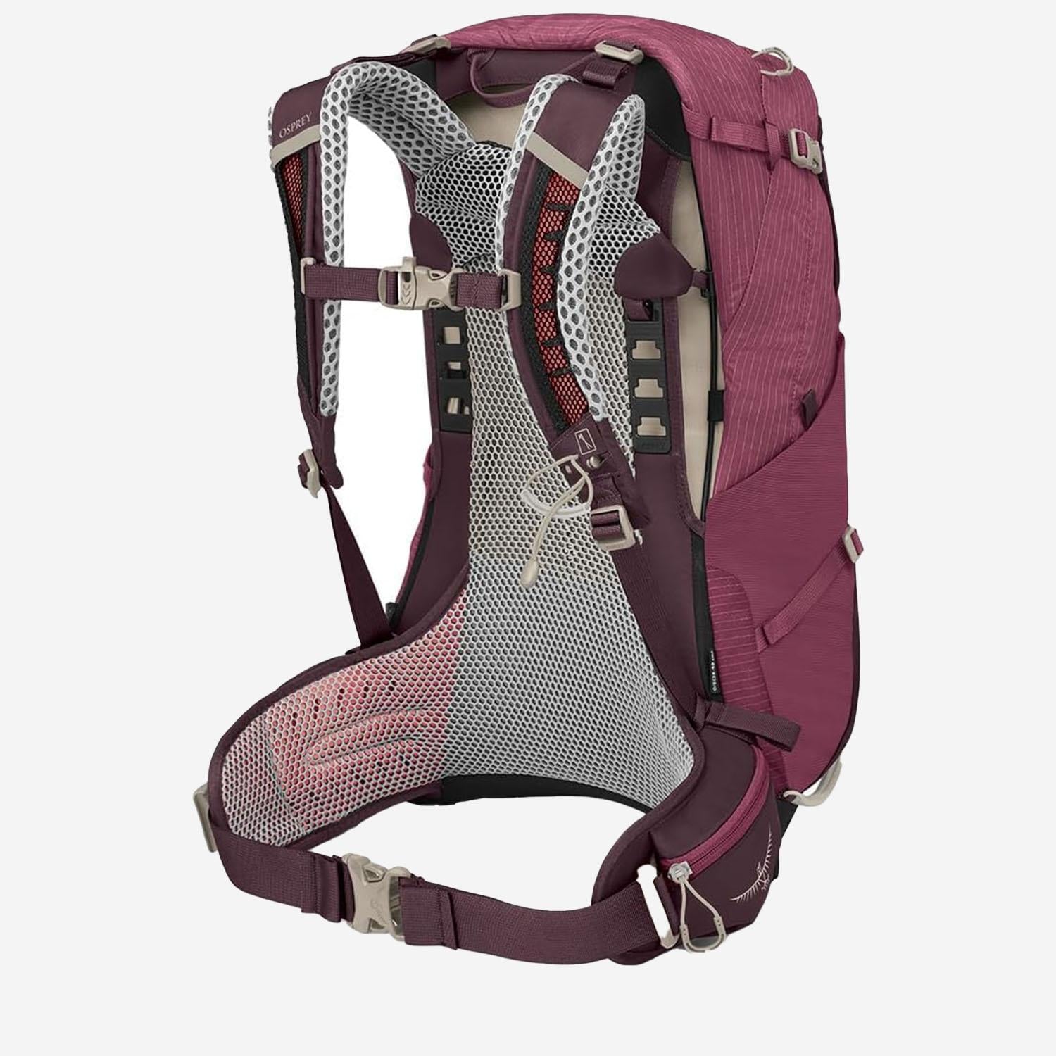 ZAINO SIRRUS 24 10005784 ELDERBERRY PURPLE CHIRU TAN OSPREY