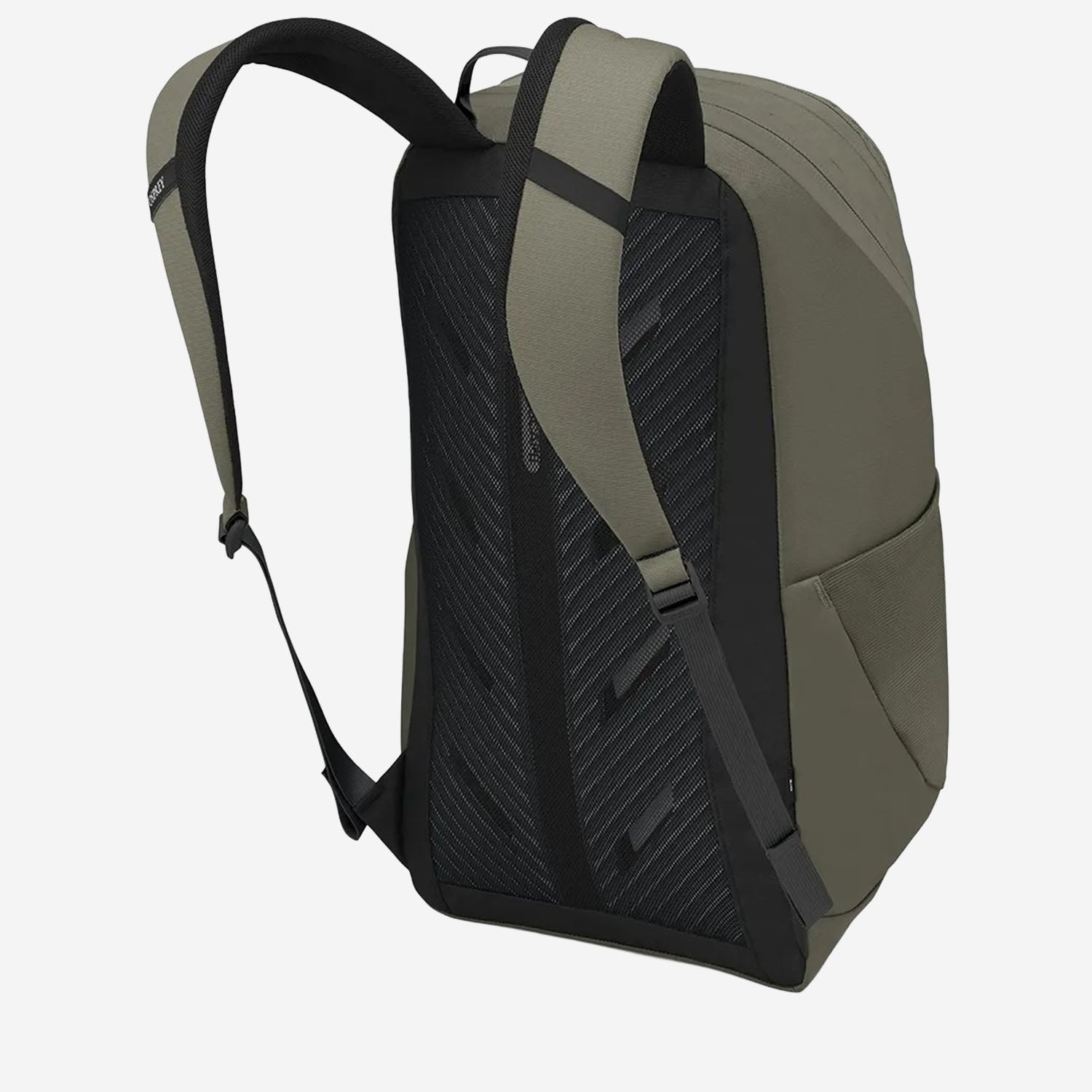 ZAINO ASTRONOVA 10007184 EARLGREY OSPREY 