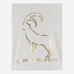 T-SHIRT FOLLOWING YONDER STAR <BR/>IN COTONE STRETCH BIANCO GOLD BINI SILVIA 
