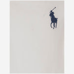 T-SHIRT BIG PONY IN COTONE CON LOGO 322832907 037 POLO RALPH LAUREN KIDS 