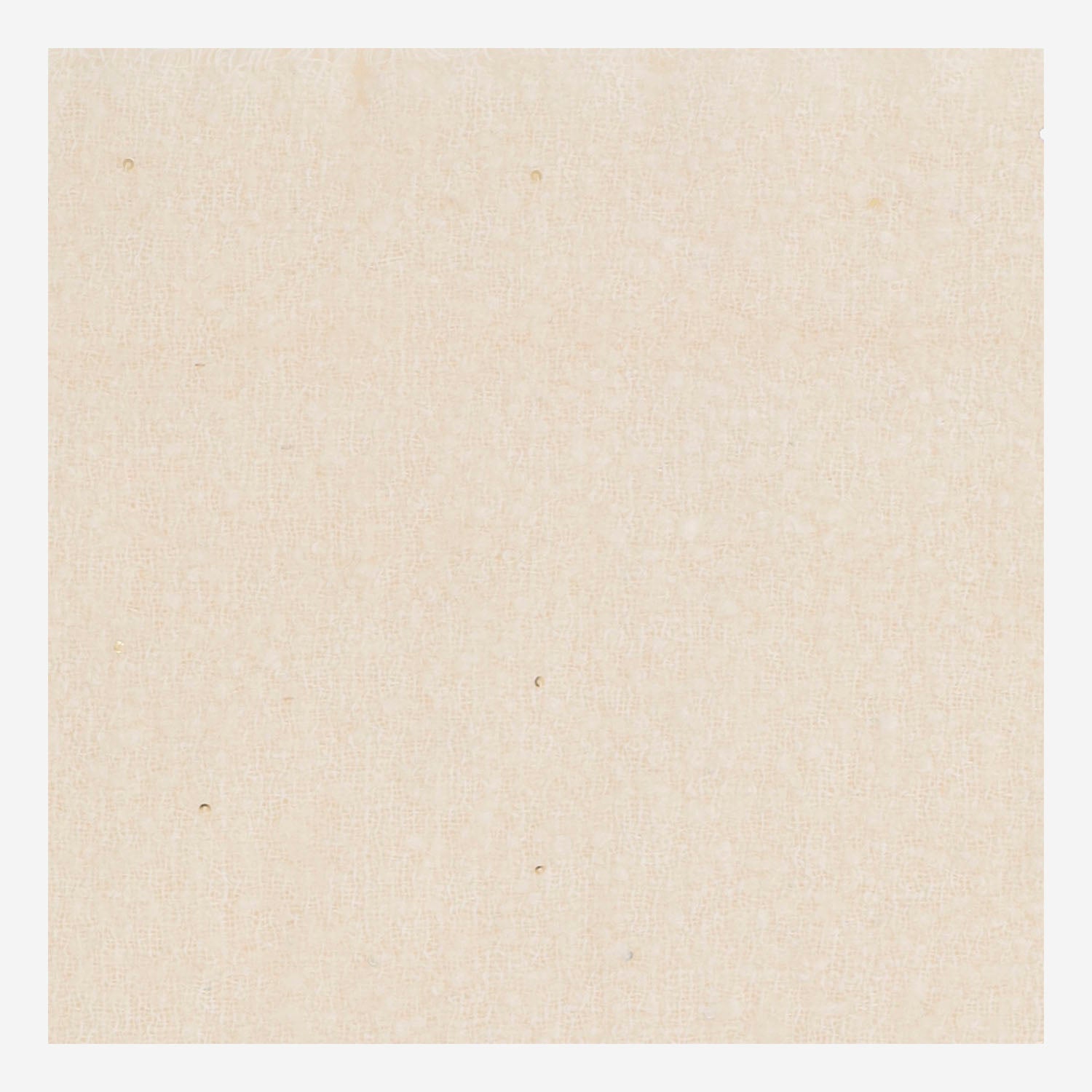 SCIARPA ALTEA IN MISTO LANA CON PAILLETTES 2152 136 FALIERO SARTI 