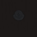 SCIARPA IN LANA E CASHMERE CON LOGO 3C00001 M4281999 MONCLER 