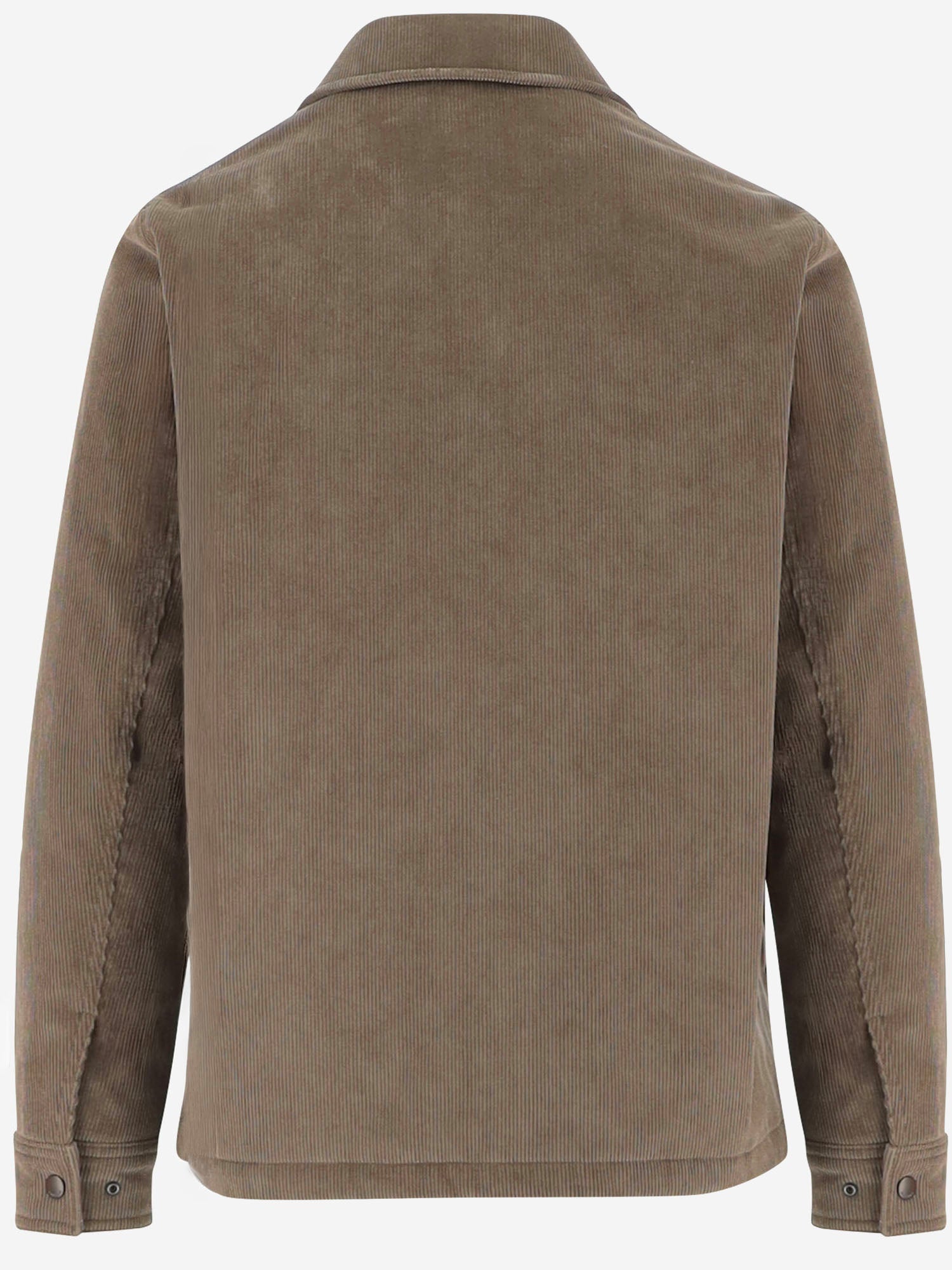 GIACCA IN VELLUTO DI COTONE A COSTE 8131446 SEPIABROWN BURBERRY 
