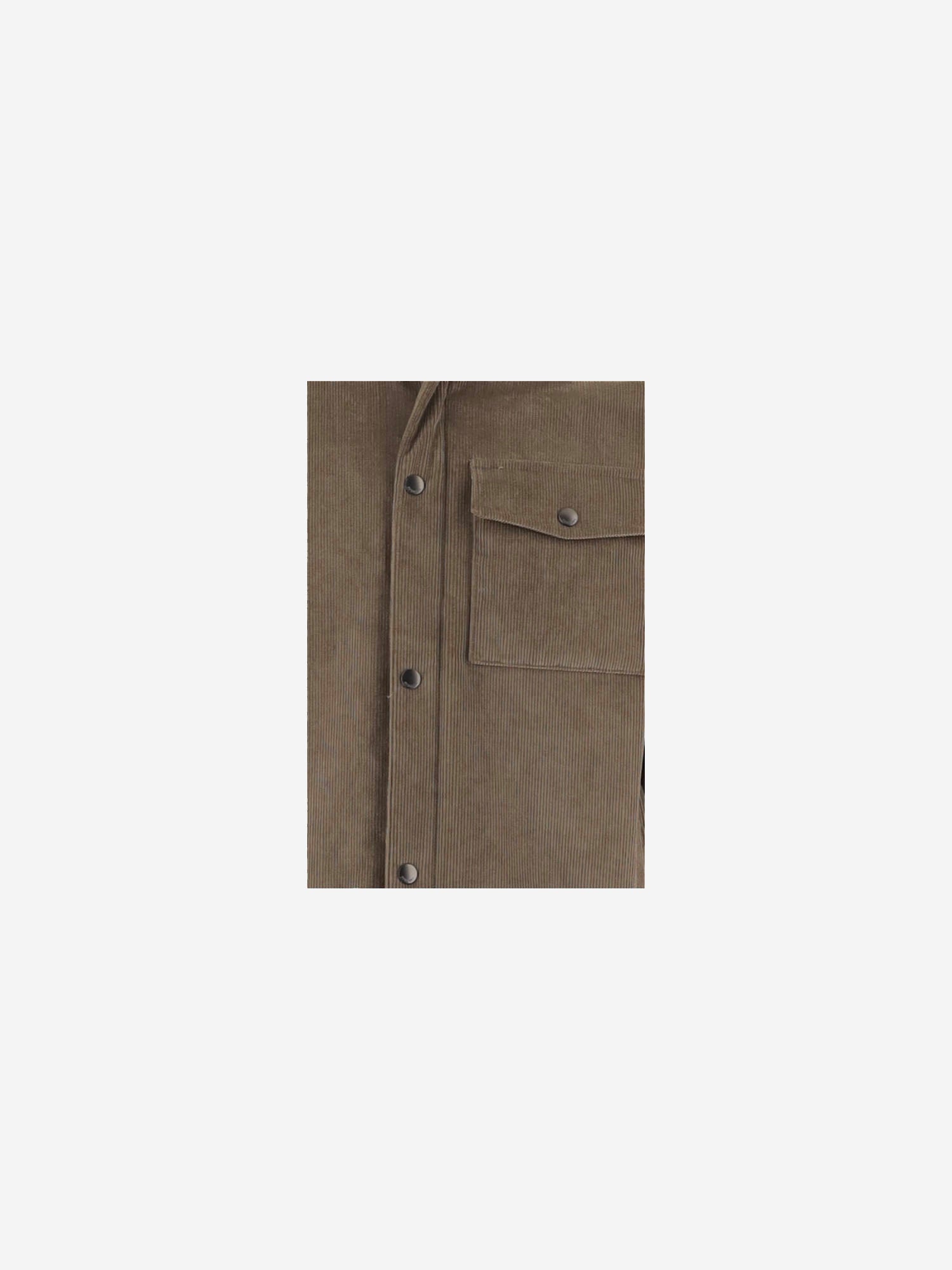GIACCA IN VELLUTO DI COTONE A COSTE 8131446 SEPIABROWN BURBERRY 