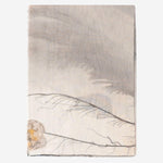SCIARPA ELETTRA IN MISTO MODAL<BR/> 2186 3660 FALIERO SARTI 