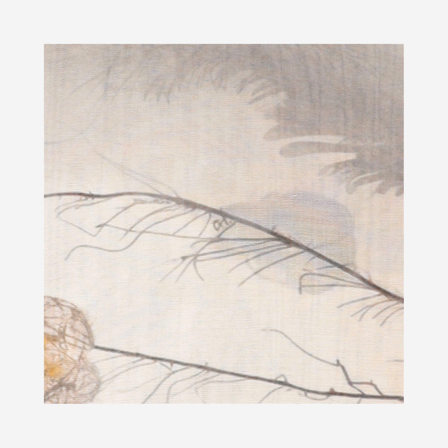 SCIARPA ELETTRA IN MISTO MODAL<BR/> 2186 3660 FALIERO SARTI 