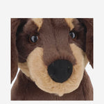 PELUCHE A FORMA DI BASSOTTO OT3SDN  JELLYCAT KIDS 