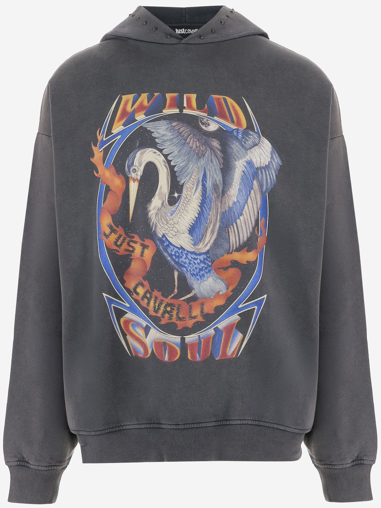FELPA IN COTONE CON LOGO 81OAIE05 CFW13899 JUST CAVALLI 