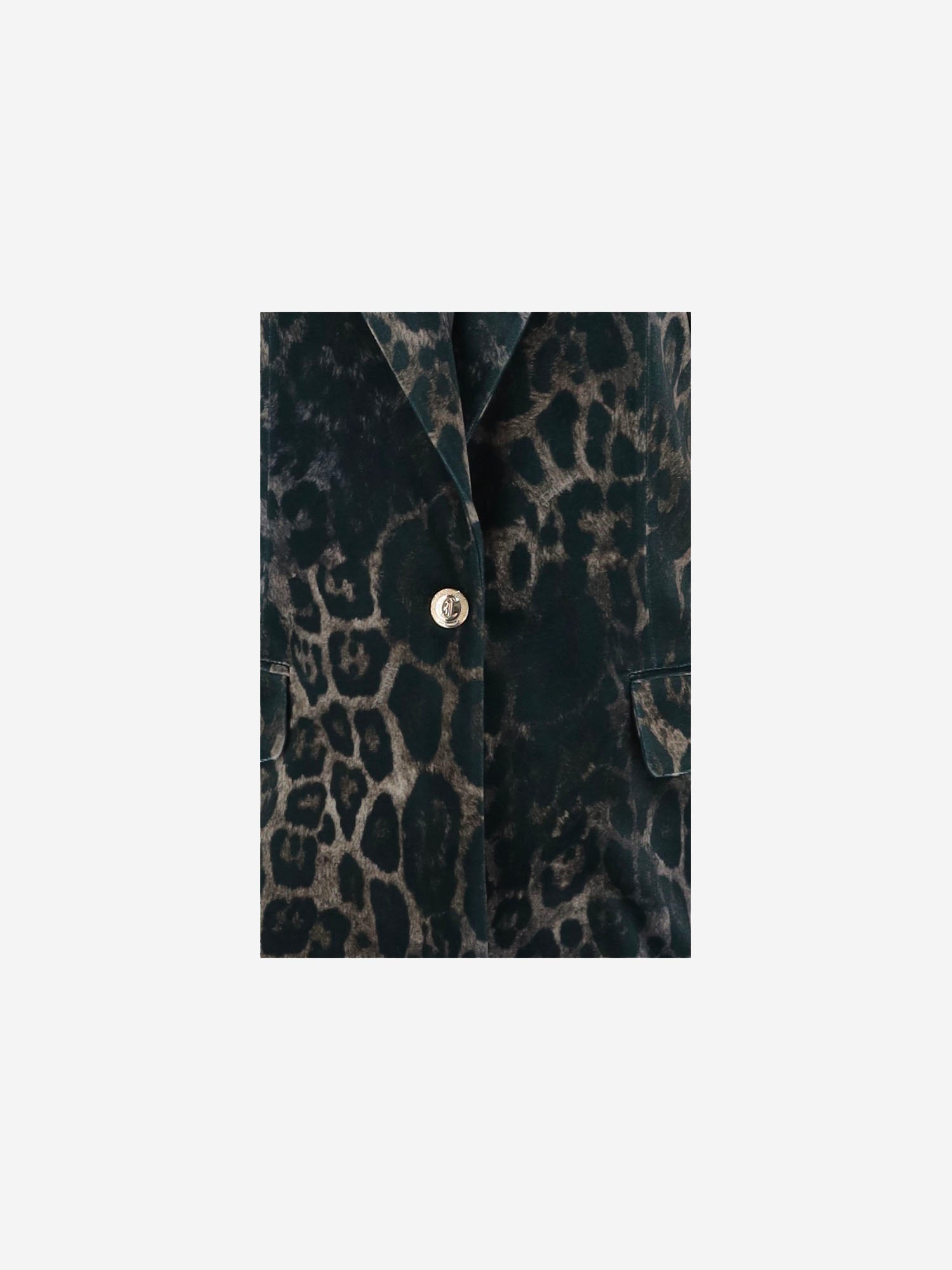 GIACCA MONOPETTO CON MOTIVO ANIMALIER 81PAQ700 JS564768 JUST CAVALLI 