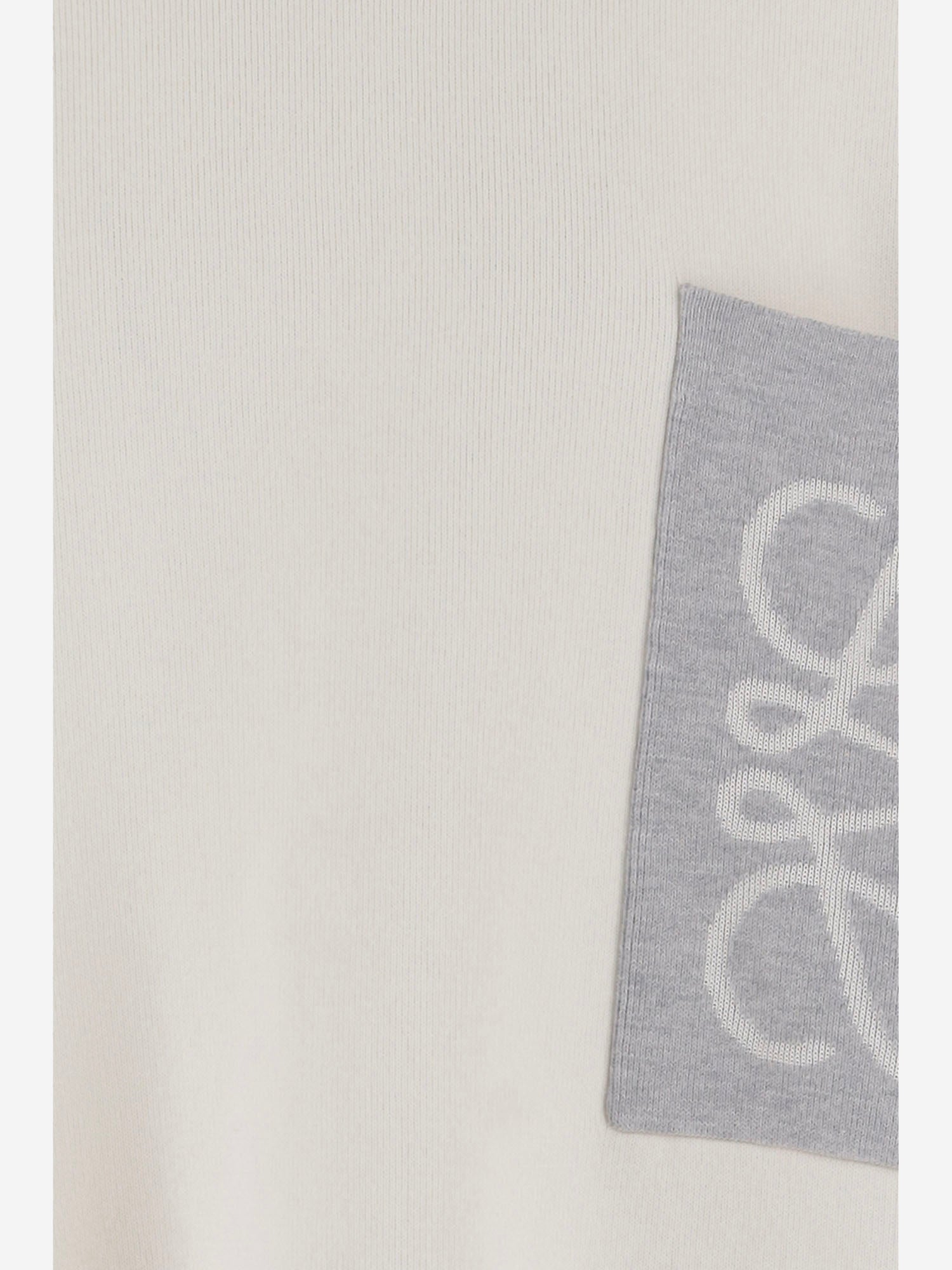 MAGLIA IN MISTO COTONE CON LOGO H526Y14KLS 2145 LOEWE 