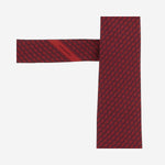 CRAVATTA IN SETA CON MOTIVO FANTASIA 350948 002 SALVATORE FERRAGAMO 