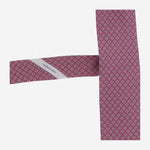 CRAVATTA IN SETA CON MOTIVO FANTASIA 350950 004 SALVATORE FERRAGAMO 