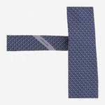 CRAVATTA IN SETA CON MOTIVO FANTASIA 350979 002 SALVATORE FERRAGAMO 