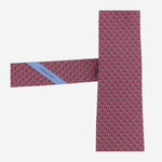 CRAVATTA IN SETA CON MOTIVO FANTASIA 350979 004 SALVATORE FERRAGAMO 