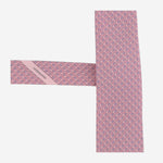 CRAVATTA IN SETA CON MOTIVO FANTASIA 350979 006 SALVATORE FERRAGAMO 
