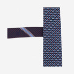 CRAVATTA IN SETA CON MOTIVO FANTASIA 351389 001 SALVATORE FERRAGAMO 