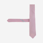 CRAVATTA IN SETA CON MOTIVO FANTASIA 351389 005 SALVATORE FERRAGAMO 