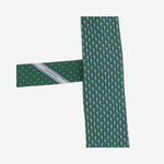 CRAVATTA IN SETA CON MOTIVO FANTASIA 351438 007 SALVATORE FERRAGAMO 