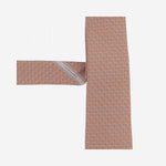 CRAVATTA IN SETA CON MOTIVO FANTASIA 351441 006 SALVATORE FERRAGAMO 