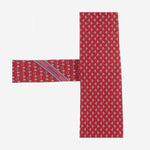 CRAVATTA IN SETA CON MOTIVO FANTASIA 351442 004 SALVATORE FERRAGAMO 