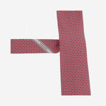 CRAVATTA IN SETA CON MOTIVO FANTASIA 351445 004 SALVATORE FERRAGAMO 