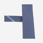 CRAVATTA IN SETA CON MOTIVO FANTASIA 351446 002 SALVATORE FERRAGAMO 