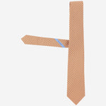 CRAVATTA IN SETA CON MOTIVO FANTASIA 351446 005 SALVATORE FERRAGAMO 