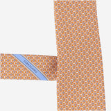 CRAVATTA IN SETA CON MOTIVO FANTASIA 351446 005 SALVATORE FERRAGAMO 
