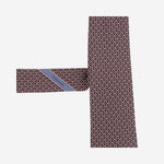 CRAVATTA IN SETA CON MOTIVO FANTASIA 351446 007 SALVATORE FERRAGAMO 