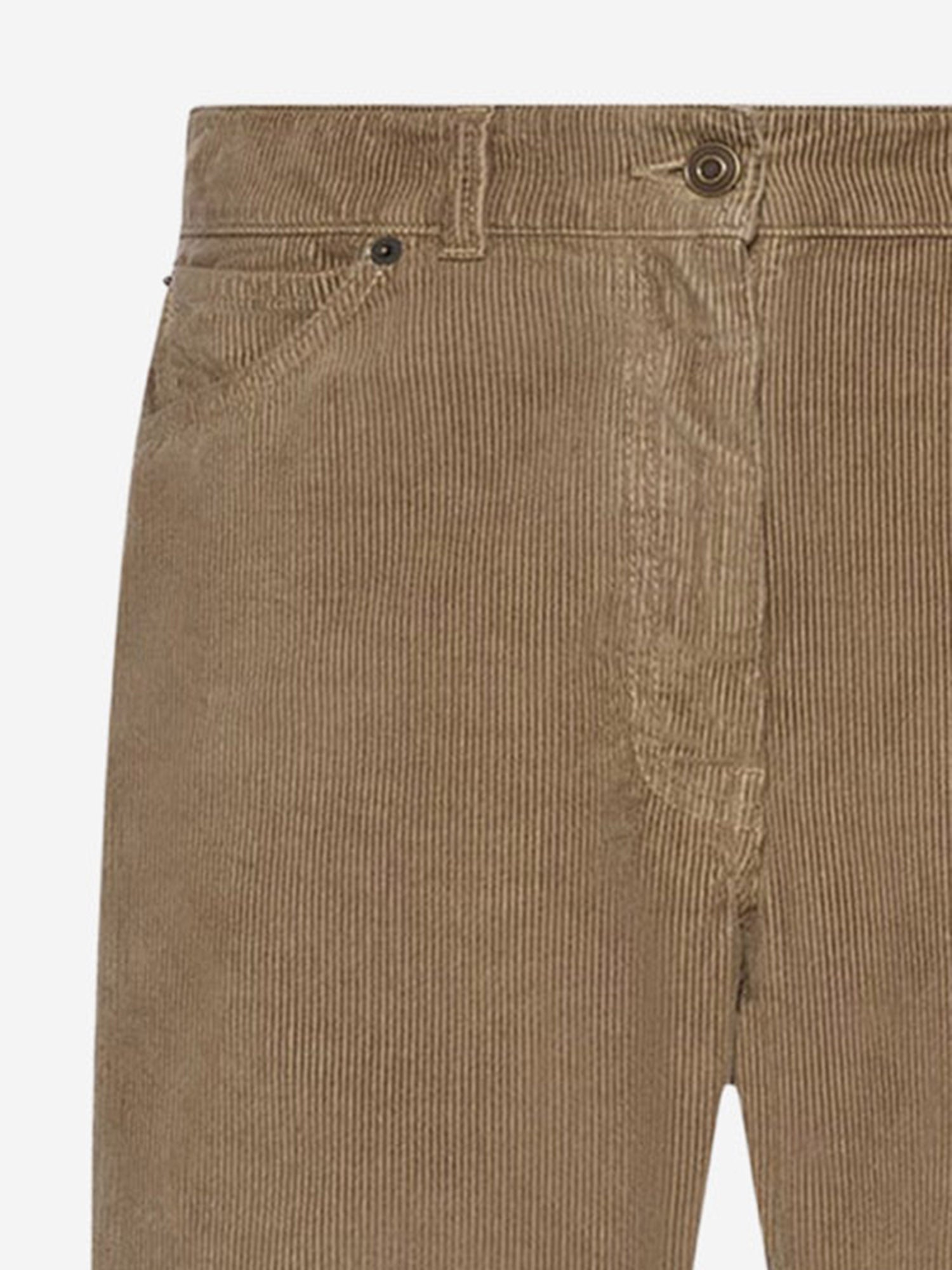 PANTALONI IN VELLUTO DI COTONE A COSTE R001198W4831 BRI THE ROW 