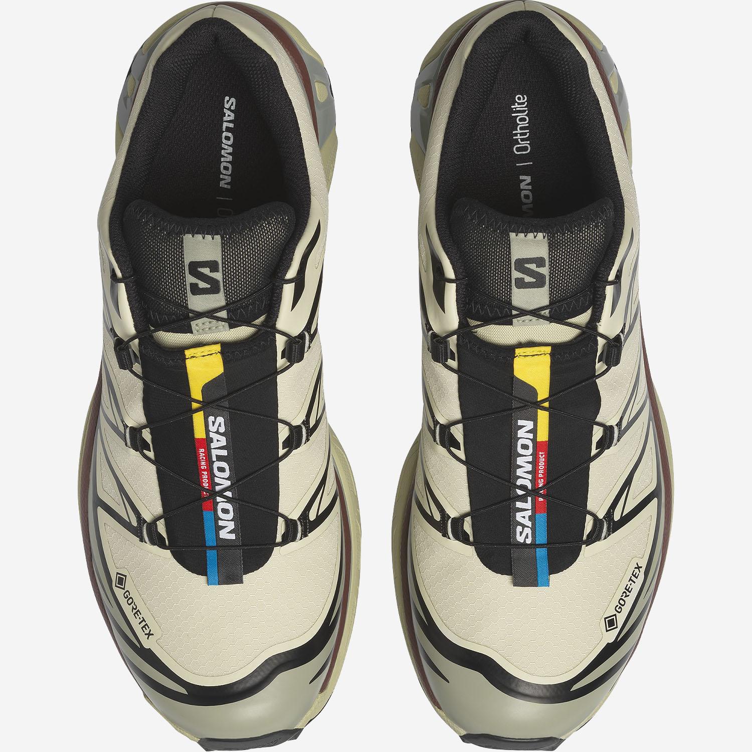 SNEAKERS XT-6 GTX L49202200 ASPARGUSGREENTEABCHOCO SALOMON 