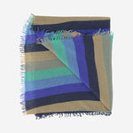 SCIARPA STRIPPY IN CASHMERE 2131 98601 FALIERO SARTI 