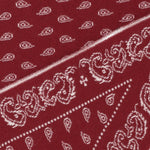 The Wild Rag in cashmere A25210AL RUBCRE GUEST IN RESIDENCE 