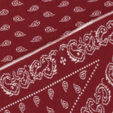 The Wild Rag in cashmere A25210AL RUBCRE GUEST IN RESIDENCE 