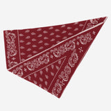 The Wild Rag in cashmere A25210AL RUBCRE GUEST IN RESIDENCE 