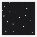 SCIARPA STELLANTE IN MISTO CASHMERE 2080 117 FALIERO SARTI 