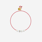 SORBET ISLAND SHELLFREE