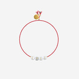 SORBET ISLAND SHELLFREE