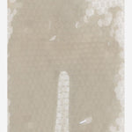 NICCOLO PASQUALETTI S004PAILNUDE