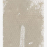 NICCOLO PASQUALETTI S004PAILNUDE