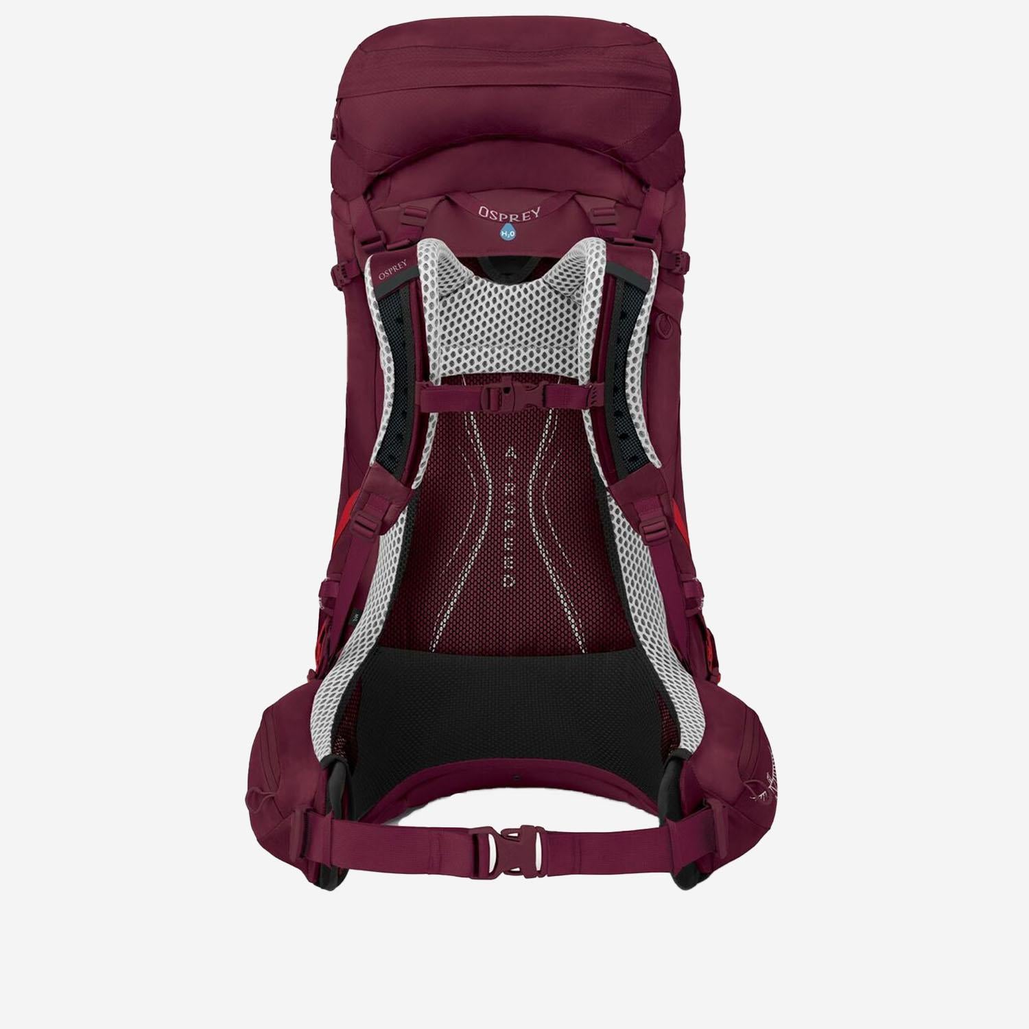 ZAINO AURA AG LT 50 10004695 ANTIDOTE PURPLE OSPREY 