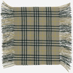 SCIARPA IN CASHMERE CHECK 8079992 HUNTER BURBERRY 