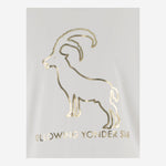 T-SHIRT FOLLOWING YONDER STAR <BR/>IN COTONE STRETCH BIANCO GOLD BINI SILVIA 